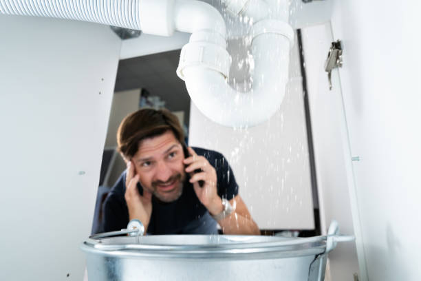 Best Affordable Plumber Near Me  in Woodbine, IA