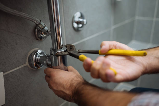 Best Plumbing Services Near Me  in Woodbine, IA